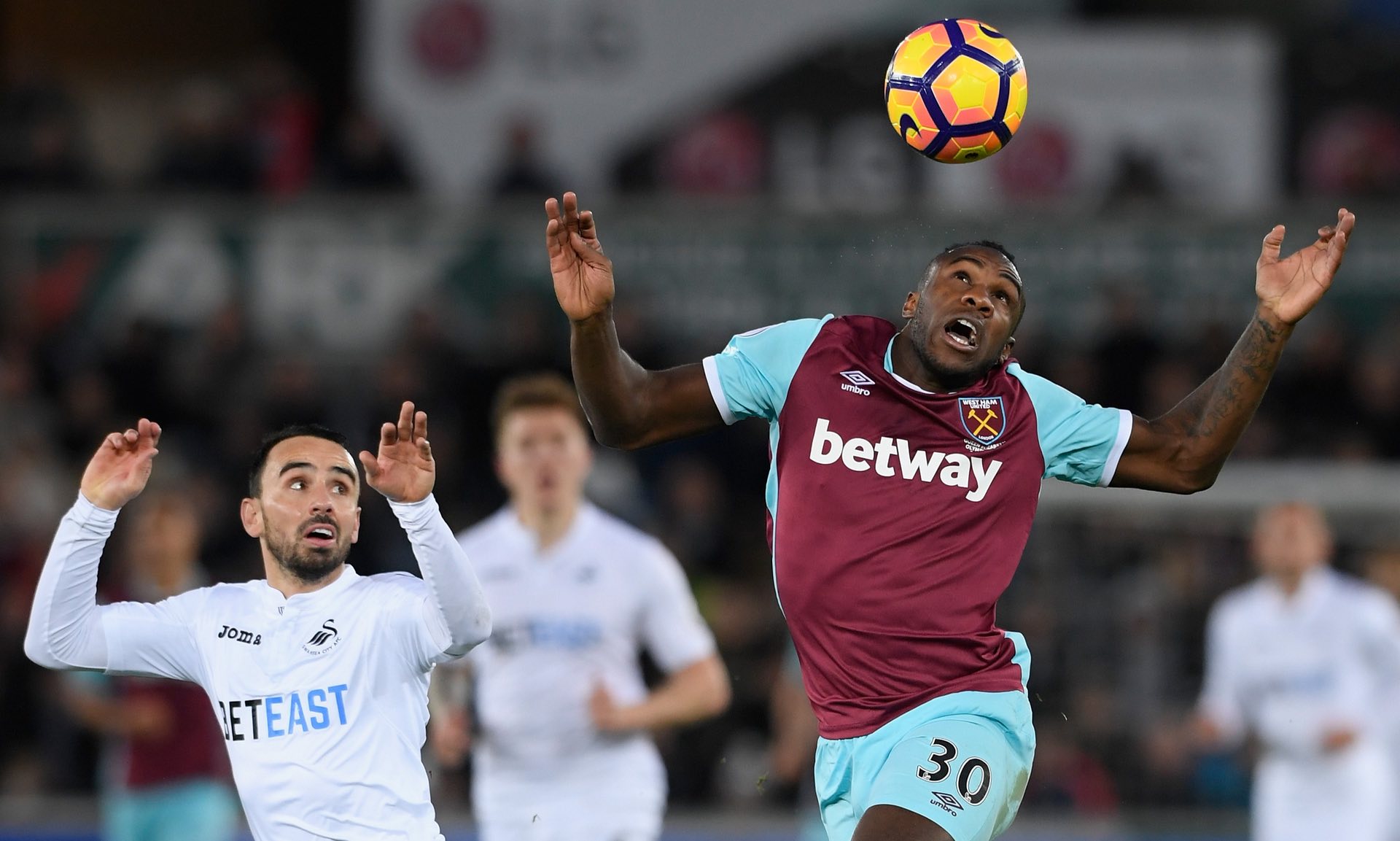 得了廣泛的 得了廣泛的