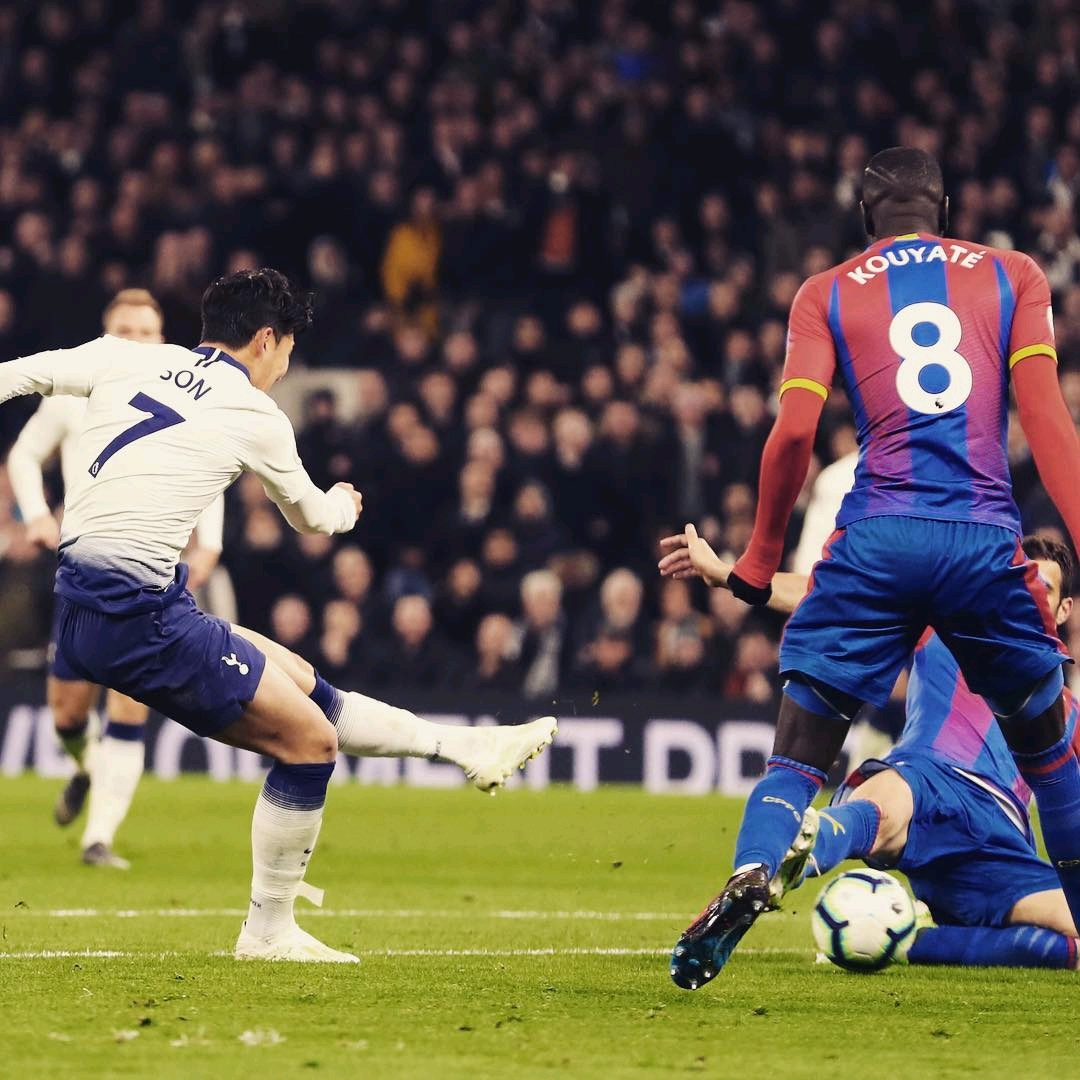 郑钦文的崛 郑钦文的崛